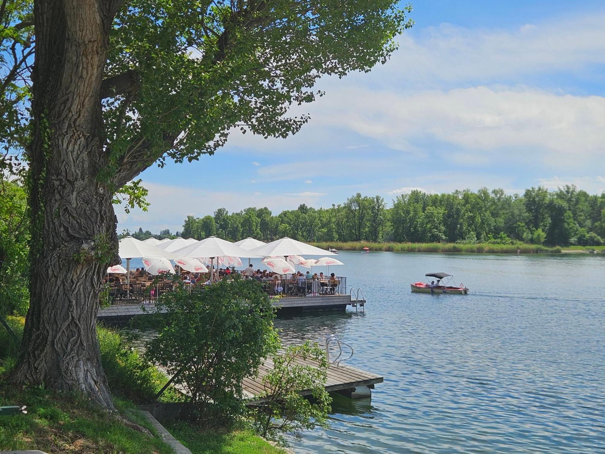 Yuki'S Place - Un-Vic, Danube Beach And Subway Near To Downtown Vienna Luaran gambar