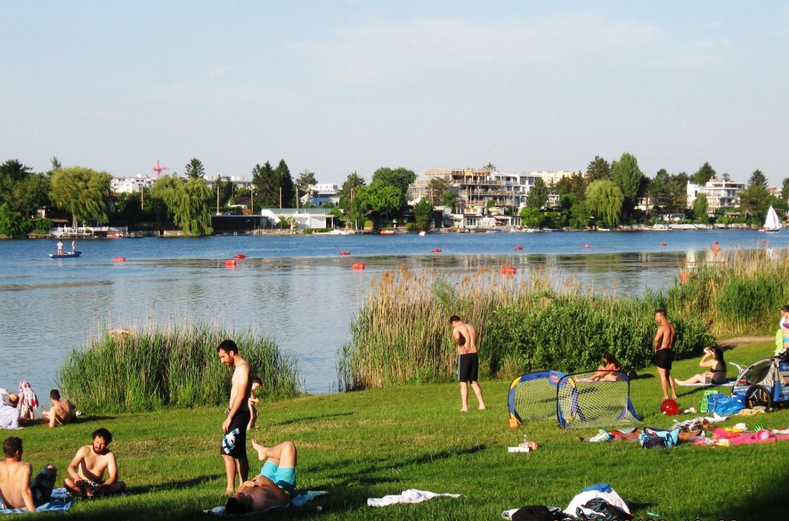 Yuki'S Place - Un-Vic, Danube Beach And Subway Near To Downtown Vienna Luaran gambar